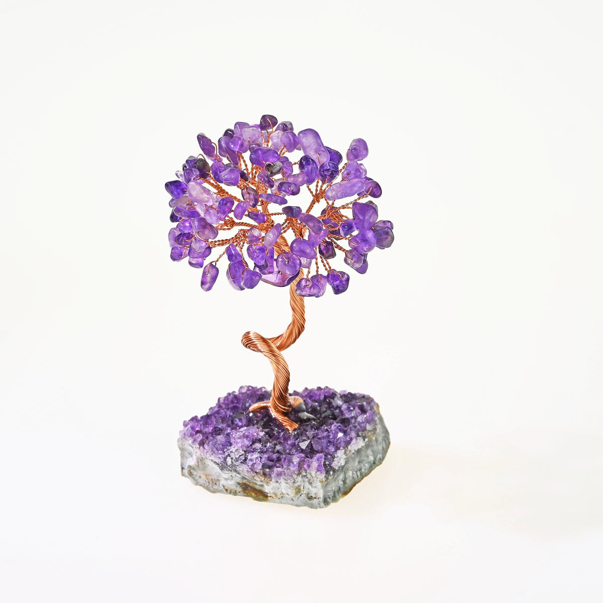 The Purple Fortune Beckoning Tree, Drawing Wealth from the Orient