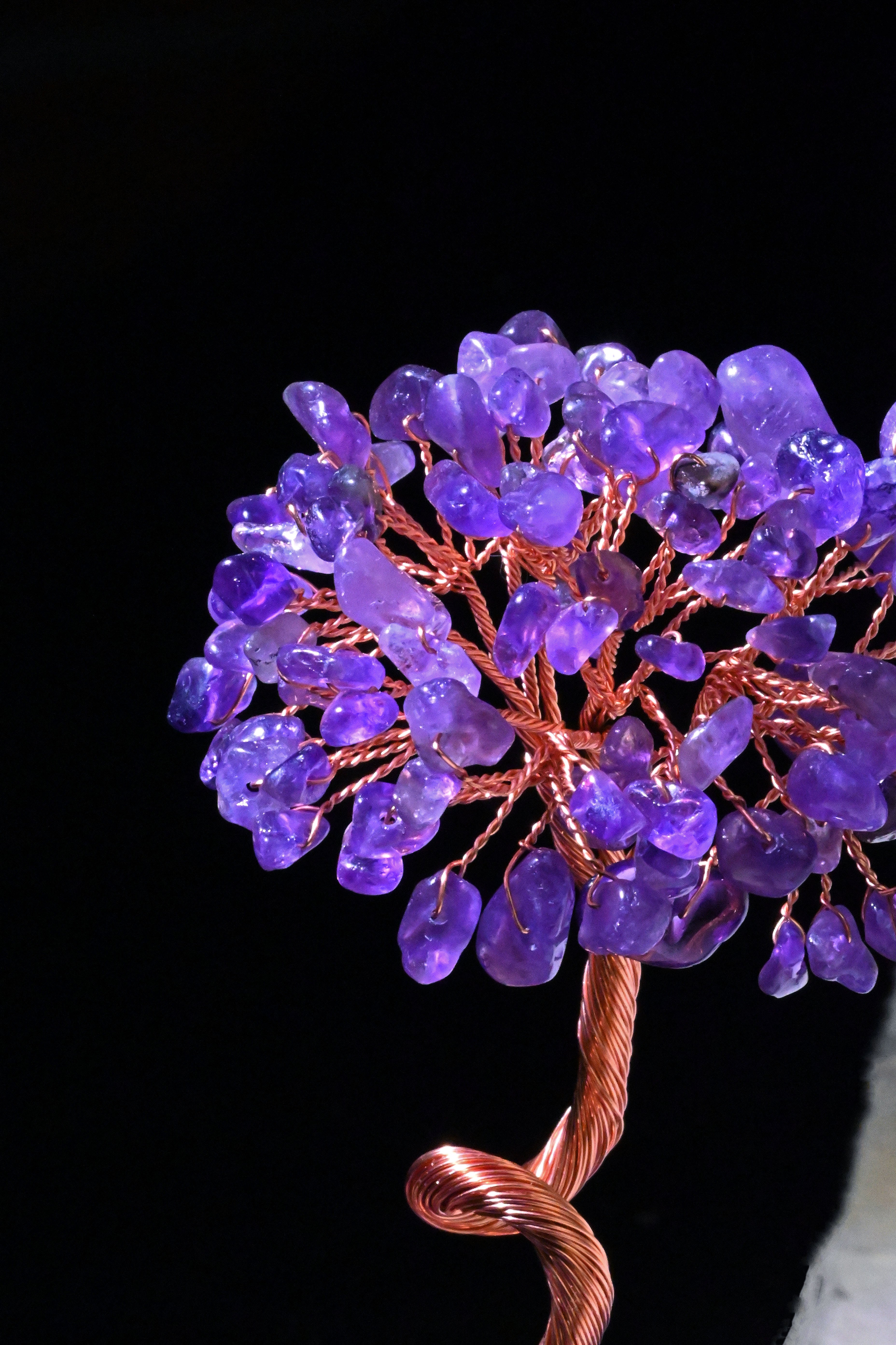 The Purple Fortune Beckoning Tree, Drawing Wealth from the Orient